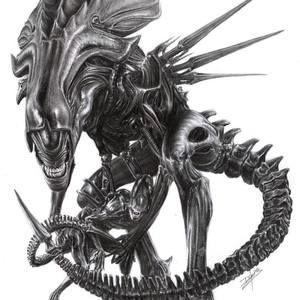 Meet your Posher, Connie